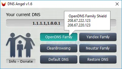 DNS Angel स्क्रीनशॉट 2