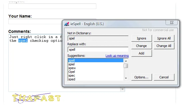 ieSpell स्क्रीनशॉट 2